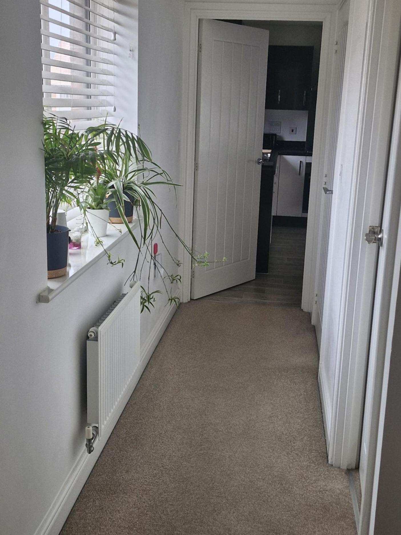 Modern Double Room With En-Suite, Parking & Fast Wifi - Close To Beach Sandgate Eksteriør billede